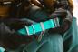 Preview: Ruffwear CONFLUENCE™ Collar Aurora Teal 14-20 inch